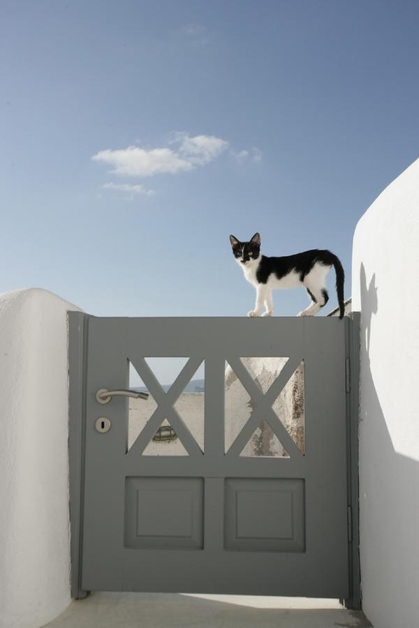 White Suite Oia  Bagian luar foto
